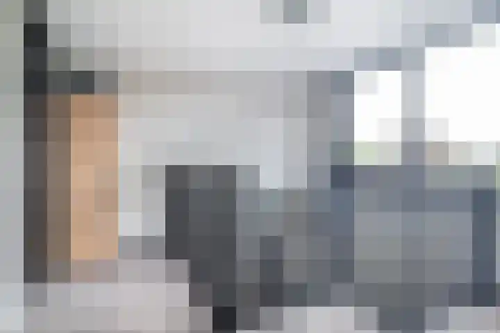 Pheiferbuorren 6 Eanjum thumbnail 27