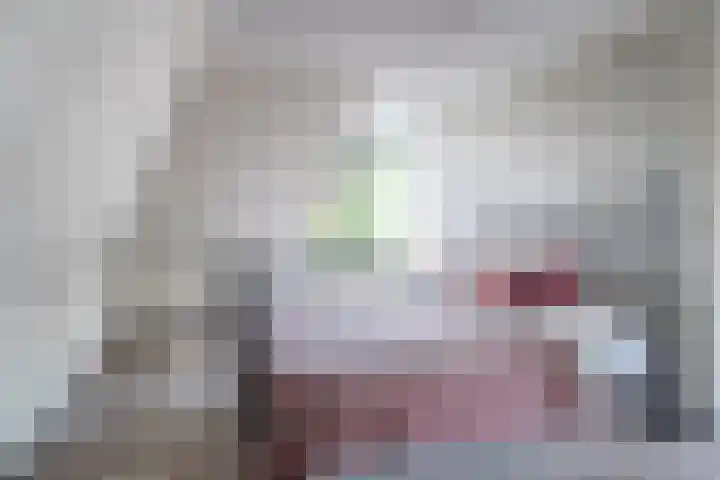Pheiferbuorren 6 Eanjum thumbnail 28