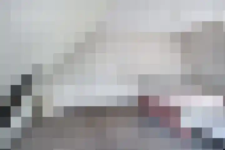 Pheiferbuorren 6 Eanjum thumbnail 29