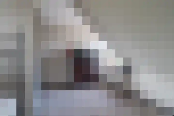 Pheiferbuorren 6 Eanjum thumbnail 30