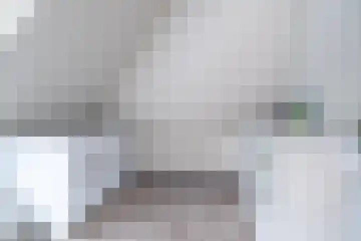 Pheiferbuorren 6 Eanjum thumbnail 31