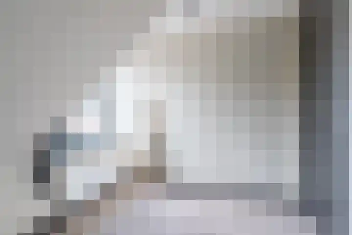 Pheiferbuorren 6 Eanjum thumbnail 34