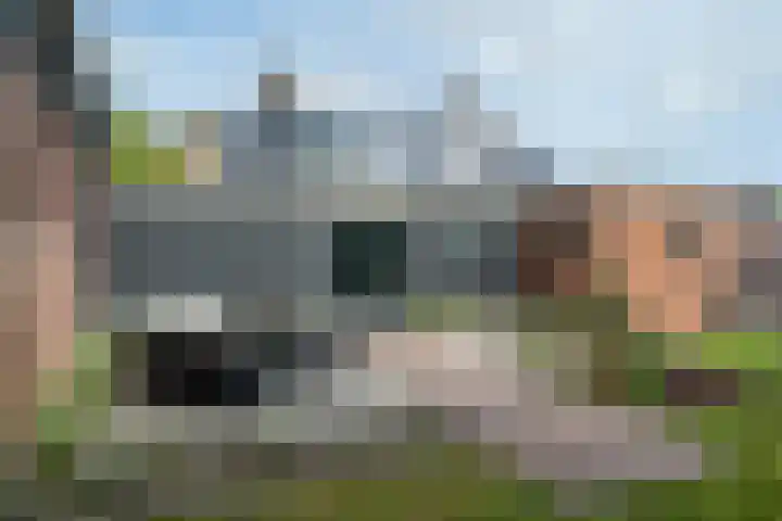 Pheiferbuorren 6 Eanjum thumbnail 35