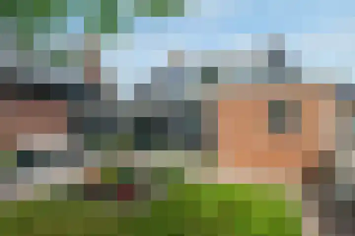 Pheiferbuorren 6 Eanjum thumbnail 36