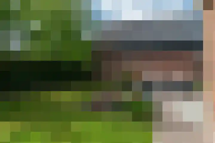 Pheiferbuorren 6 Eanjum thumbnail 37