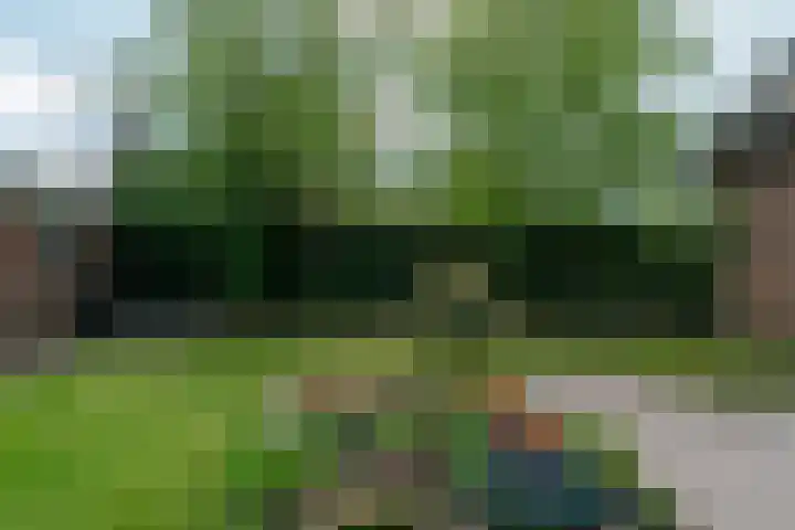 Pheiferbuorren 6 Eanjum thumbnail 39