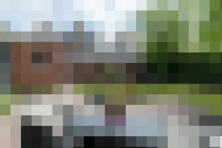 Pheiferbuorren 6 Eanjum thumbnail 40