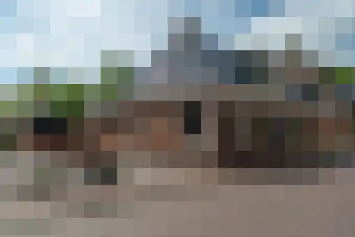 Pheiferbuorren 6 Eanjum thumbnail 42