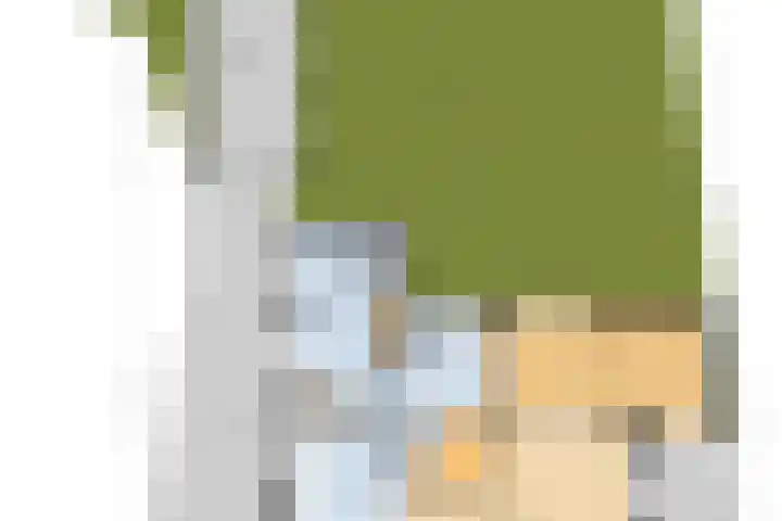 Pheiferbuorren 6 Eanjum thumbnail 48