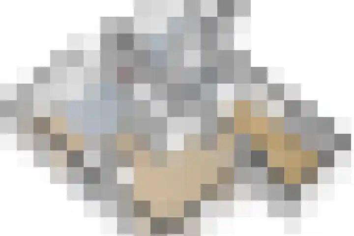 Pheiferbuorren 6 Eanjum thumbnail 49