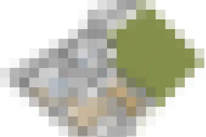 Pheiferbuorren 6 Eanjum thumbnail 52
