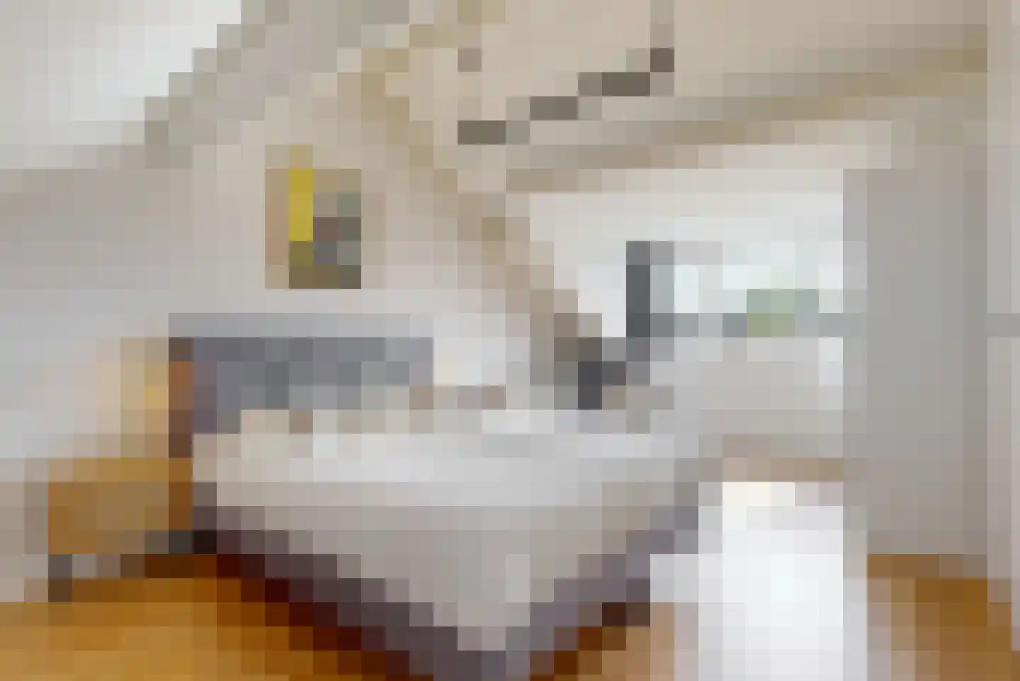Phia Berghoutlaan 34 Oegstgeest thumbnail 4