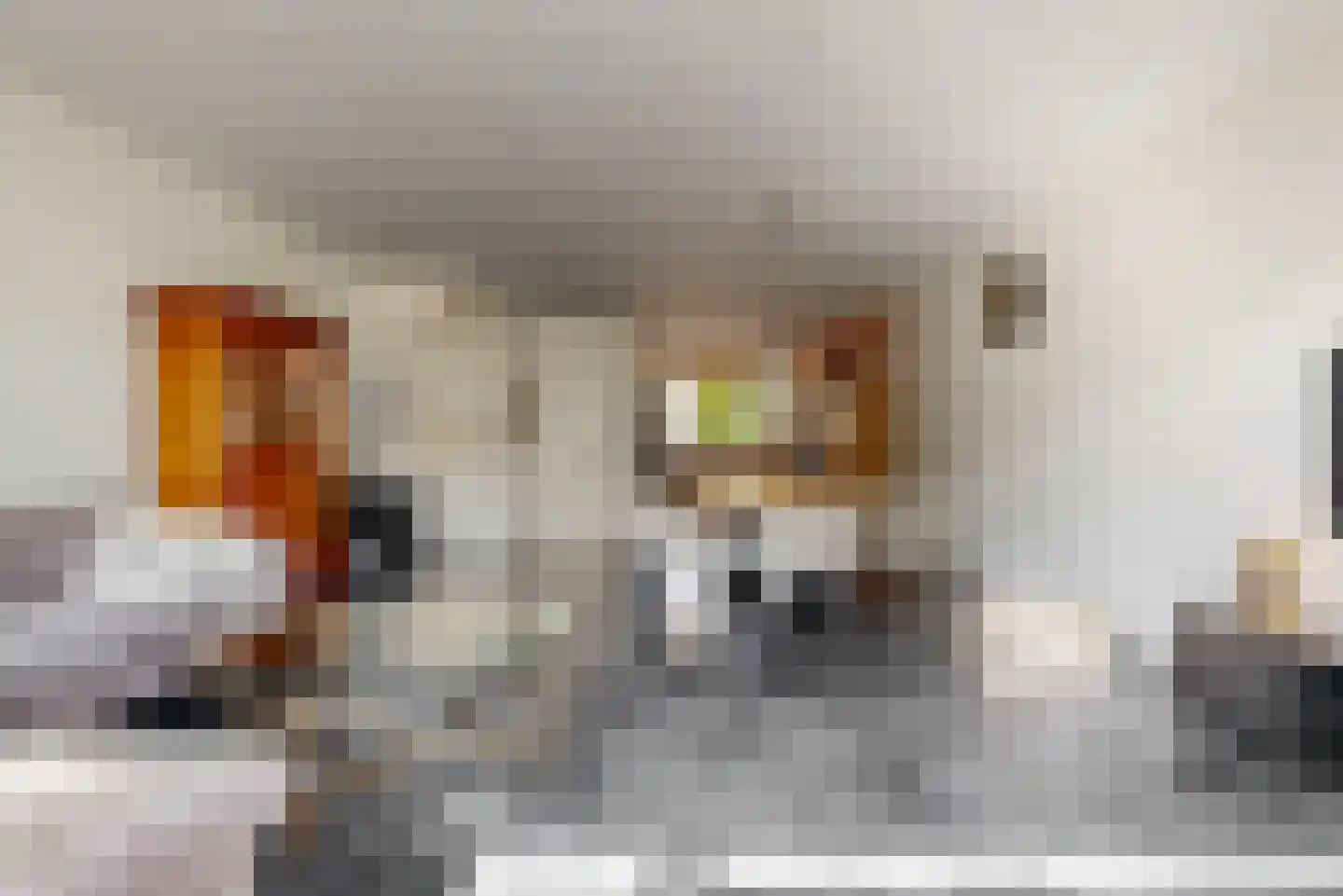 Phia Berghoutlaan 34 Oegstgeest thumbnail 7