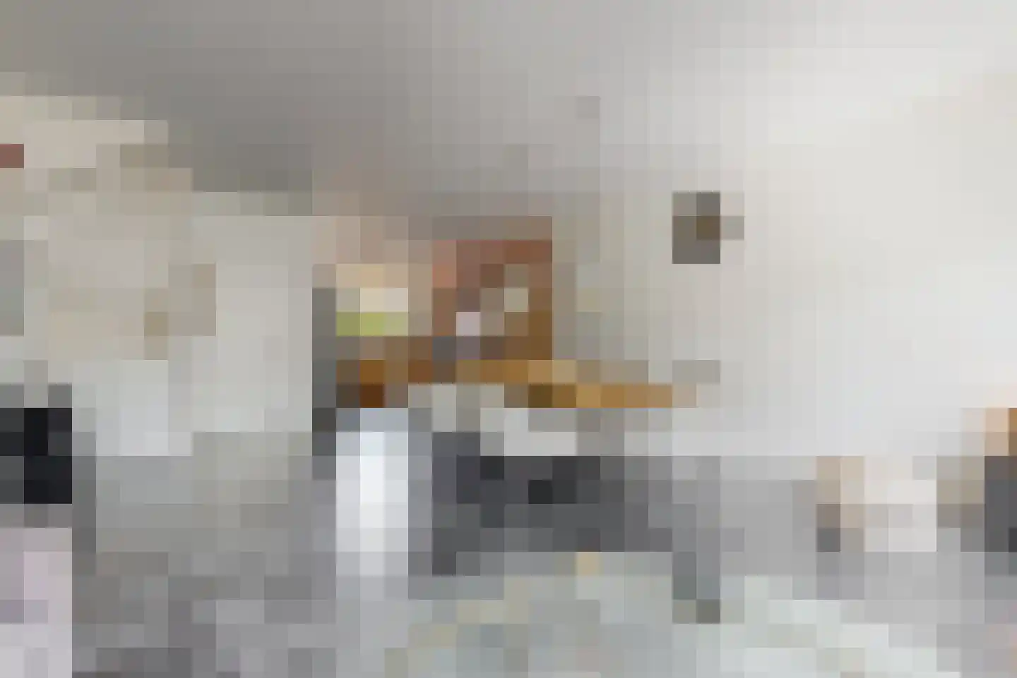 Phia Berghoutlaan 34 Oegstgeest thumbnail 8