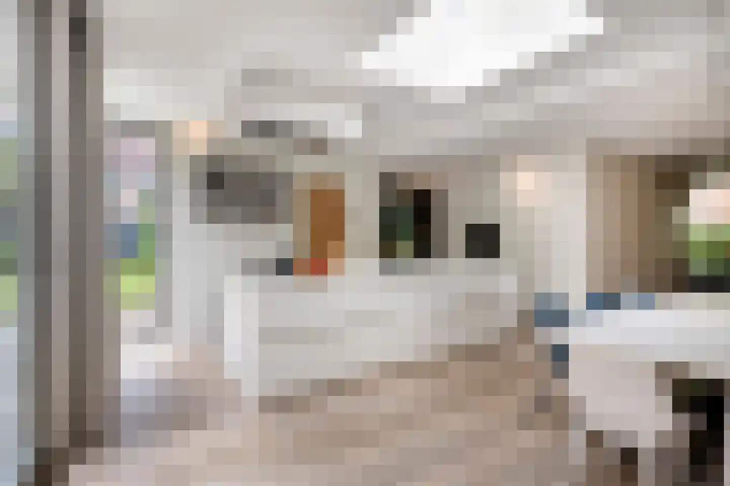 Philip de Croystraat 11 Sittard thumbnail 12