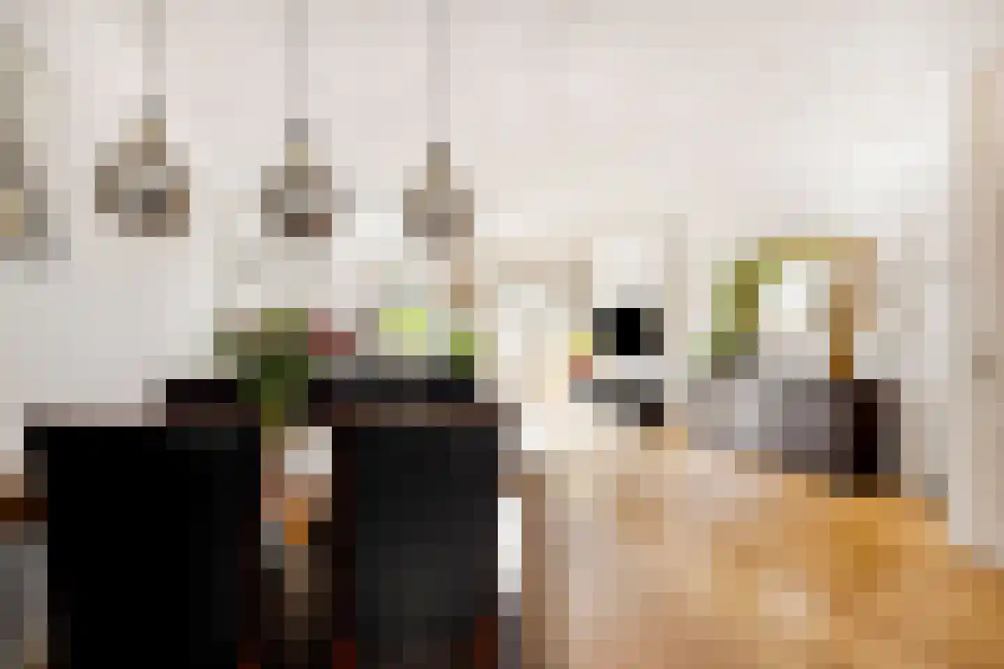 Philip van Almondestraat 10 's-Hertogenbosch thumbnail 18