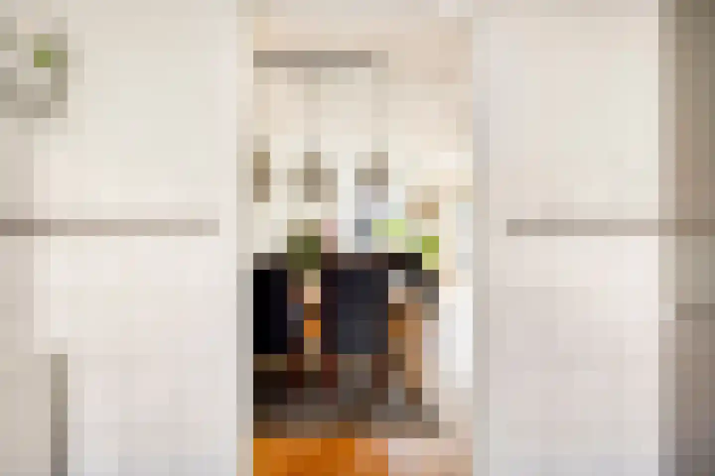 Philip van Almondestraat 10 's-Hertogenbosch thumbnail 23