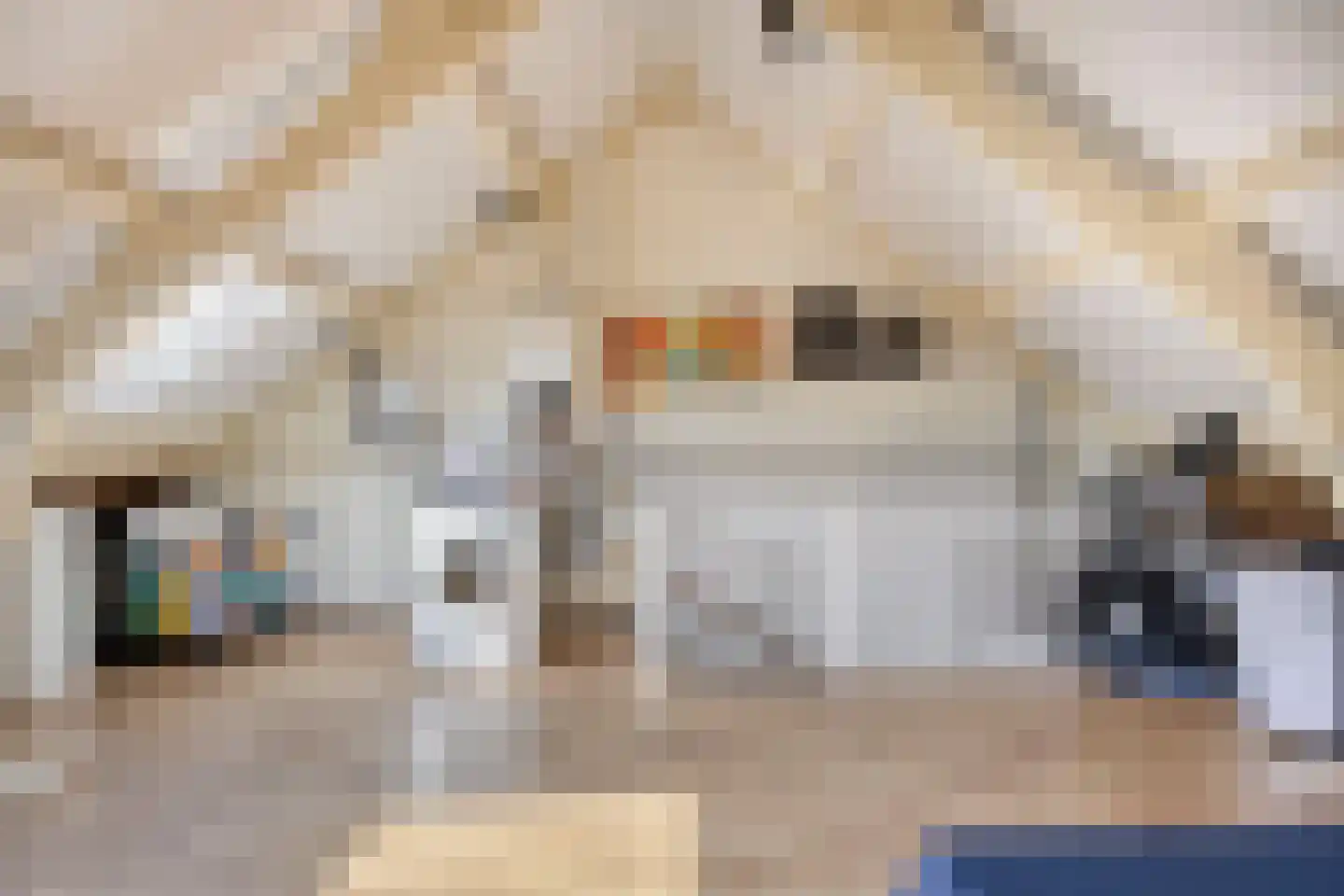 Philip van Almondestraat 10 's-Hertogenbosch thumbnail 40