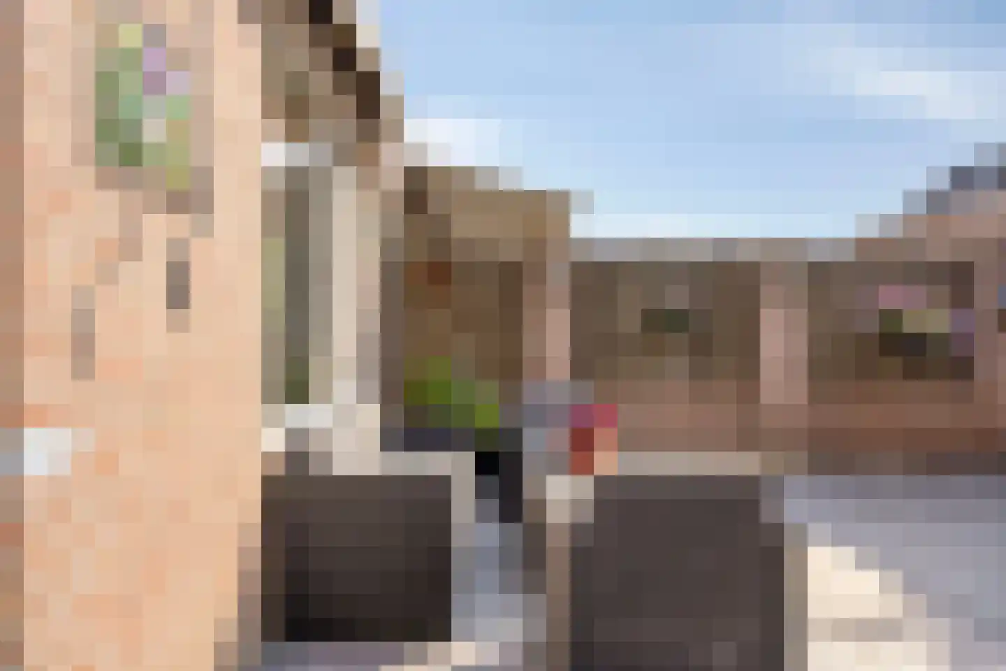 Philip van Almondestraat 10 's-Hertogenbosch thumbnail 43