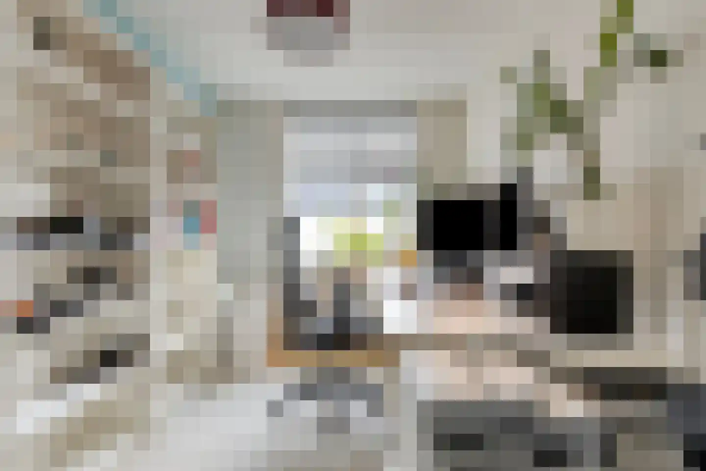 Philip van Almondestraat 4 's-Hertogenbosch thumbnail 20
