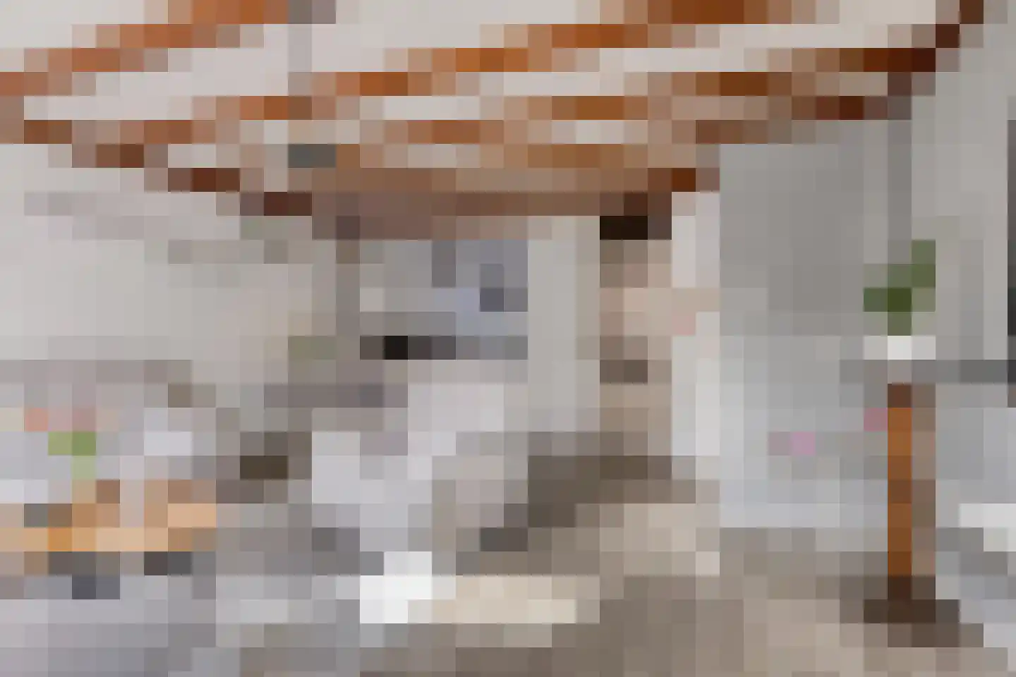 Philip van Almondestraat 4 's-Hertogenbosch thumbnail 6