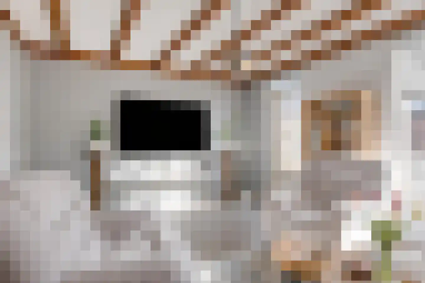 Philip van Almondestraat 4 's-Hertogenbosch thumbnail 7