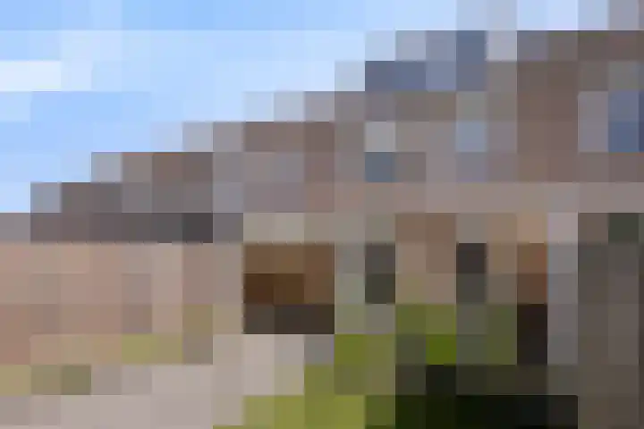 Philip van Almondestraat 9 's-Hertogenbosch thumbnail 15