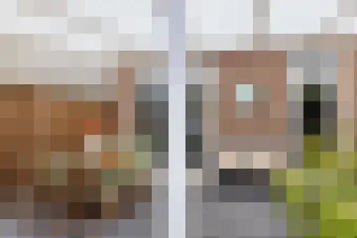 Philip van Almondestraat 9 's-Hertogenbosch thumbnail 17