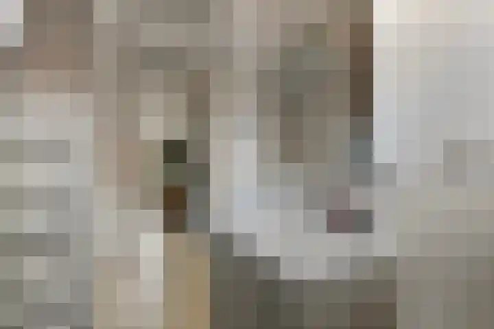 Philip van Almondestraat 9 's-Hertogenbosch thumbnail 27