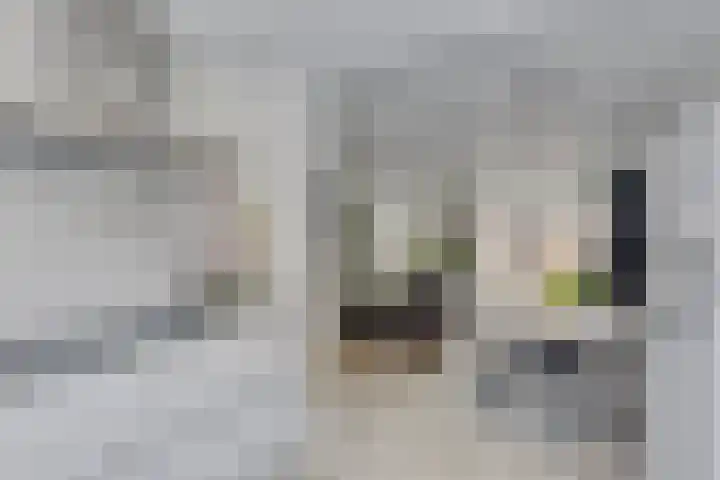 Philip van Almondestraat 9 's-Hertogenbosch thumbnail 6