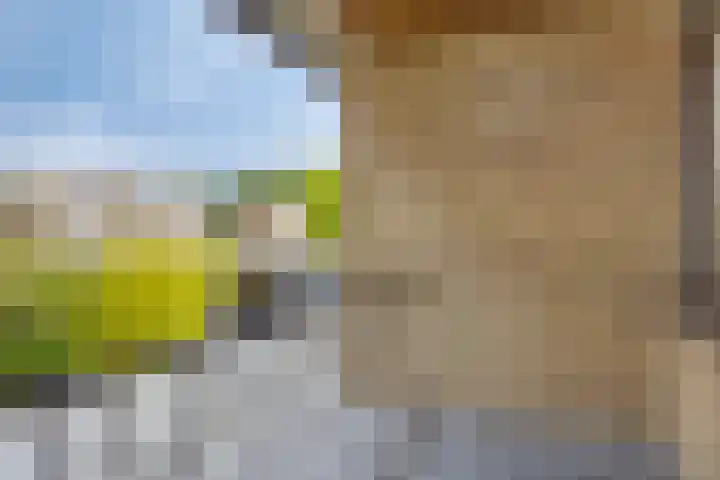 Philip van Dorpstraat 17 Nieuw-Vossemeer thumbnail 14