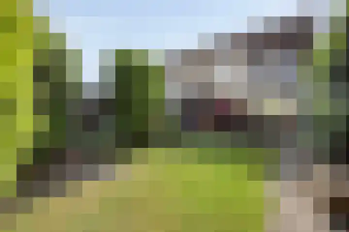 Philip van Dorpstraat 17 Nieuw-Vossemeer thumbnail 21