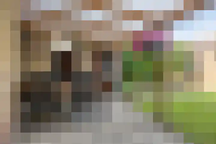 Philip van Dorpstraat 17 Nieuw-Vossemeer thumbnail 22