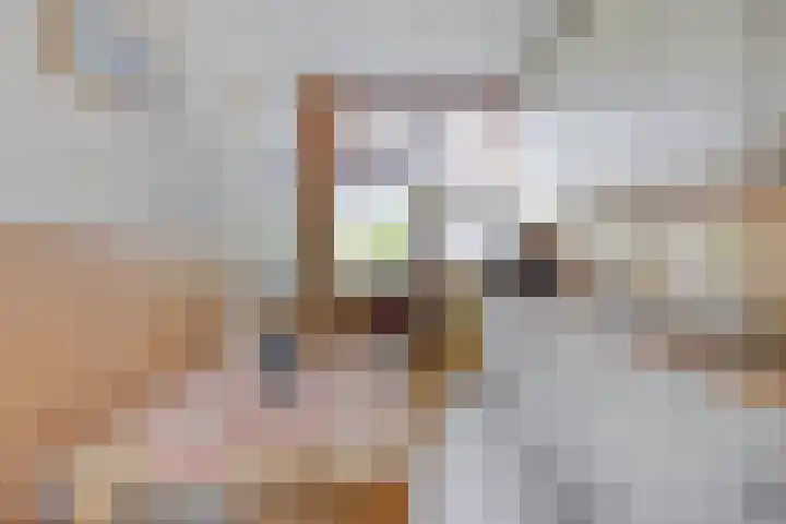 Philip van Dorpstraat 17 Nieuw-Vossemeer thumbnail 9