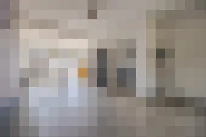 Philip van Dorpstraat 2 Nieuw-Vossemeer thumbnail 11