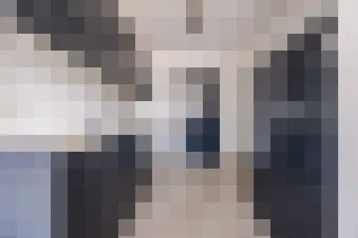 Philip van Dorpstraat 2 Nieuw-Vossemeer thumbnail 4