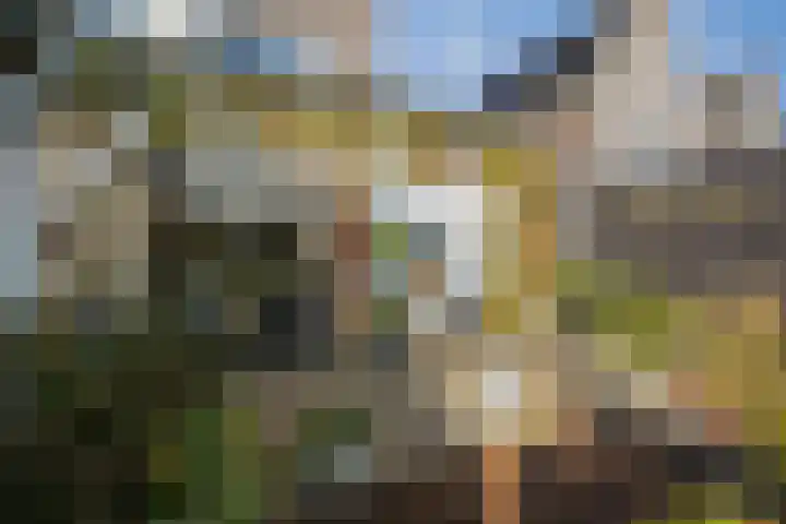 Philip van Praagstraat 4 Deventer thumbnail 33