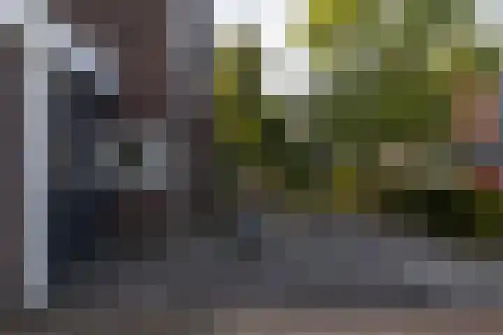 Philip van Praagstraat 4 Deventer thumbnail 41