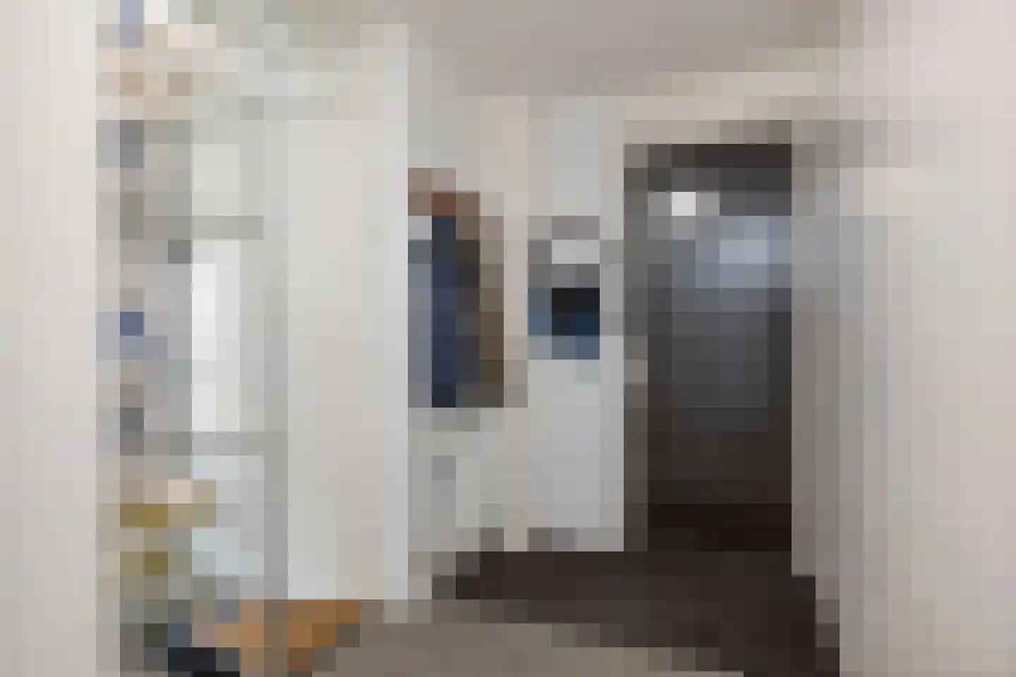 Philip van Praagstraat 6 Deventer thumbnail 26