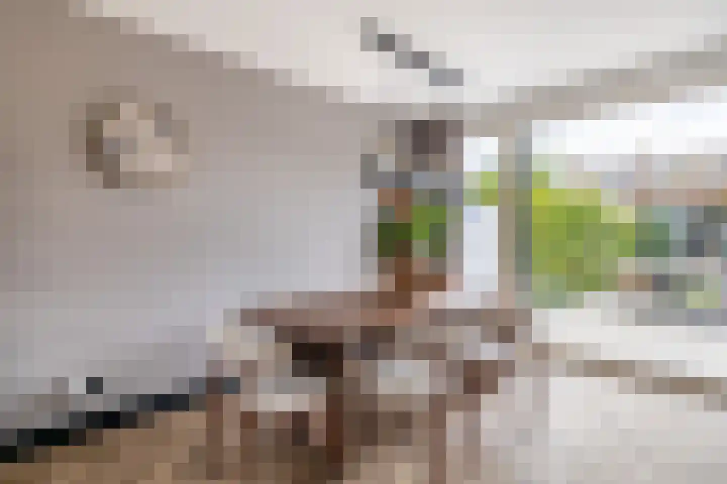 Philip Vingboonsstraat 11 Rotterdam thumbnail 15