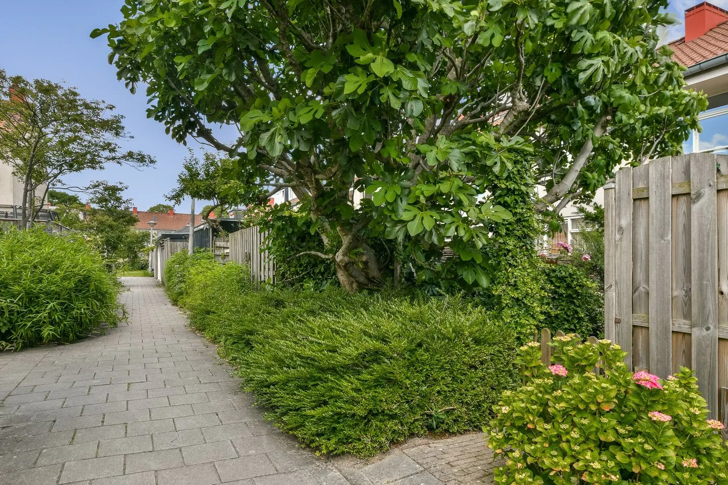 Philip Vingboonsstraat 13 Amsterdam thumbnail 26