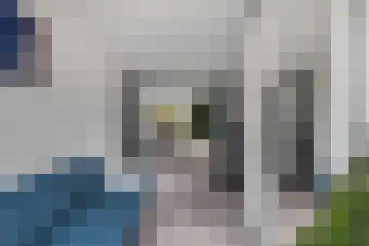 Philip Vingboonsstraat 150 Rotterdam thumbnail 21