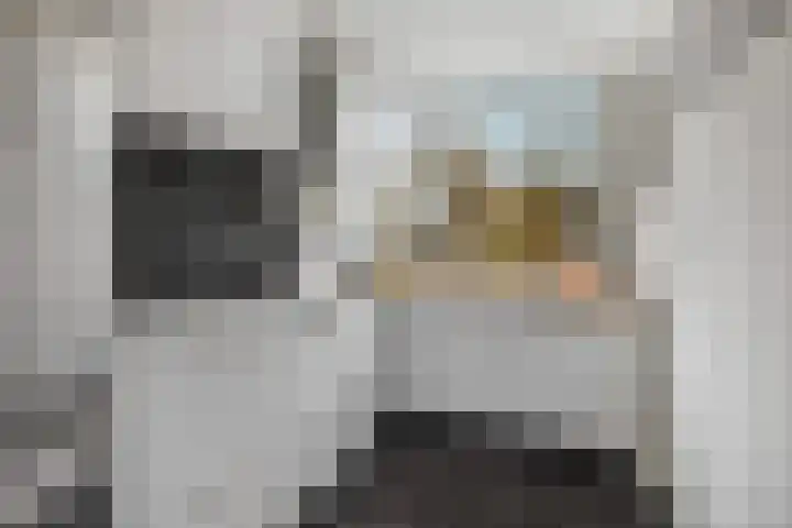 Philip Vingboonsstraat 150 Rotterdam thumbnail 28