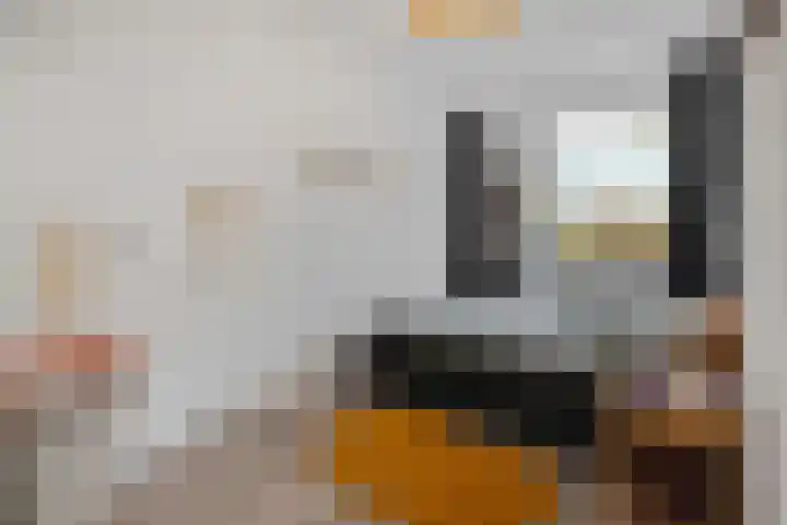Philip Vingboonsstraat 150 Rotterdam thumbnail 33