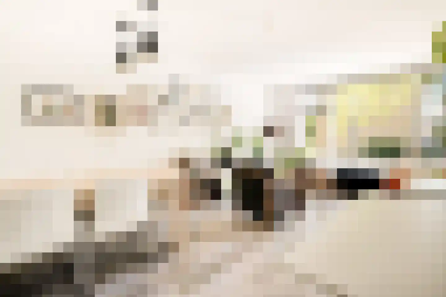 Philip Vingboonsstraat 188 Rotterdam thumbnail 10