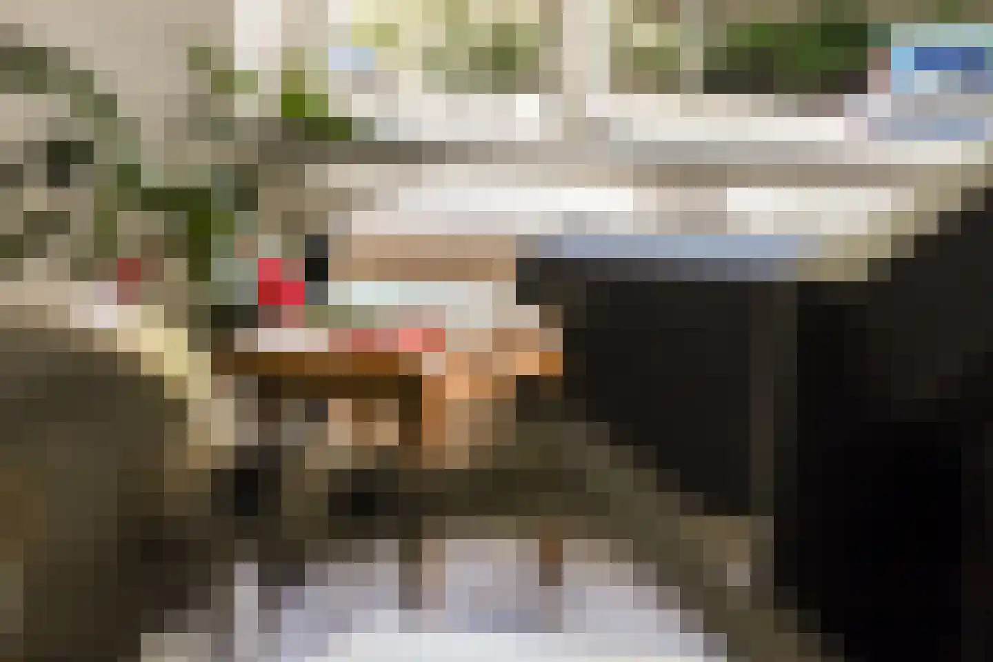 Philip Vingboonsstraat 188 Rotterdam thumbnail 12
