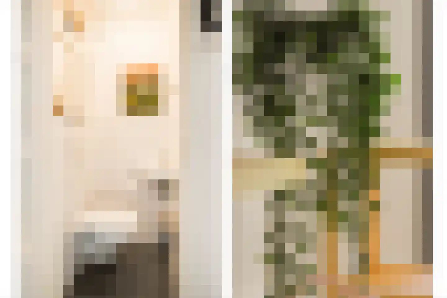Philip Vingboonsstraat 188 Rotterdam thumbnail 27