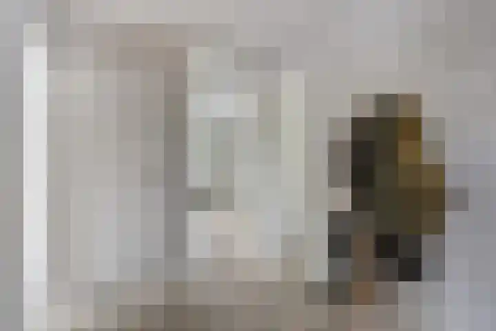 Philip Vingboonsstraat 204 Rotterdam thumbnail 10
