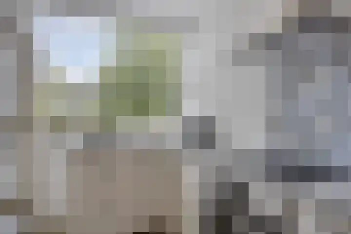 Philip Vingboonsstraat 204 Rotterdam thumbnail 12