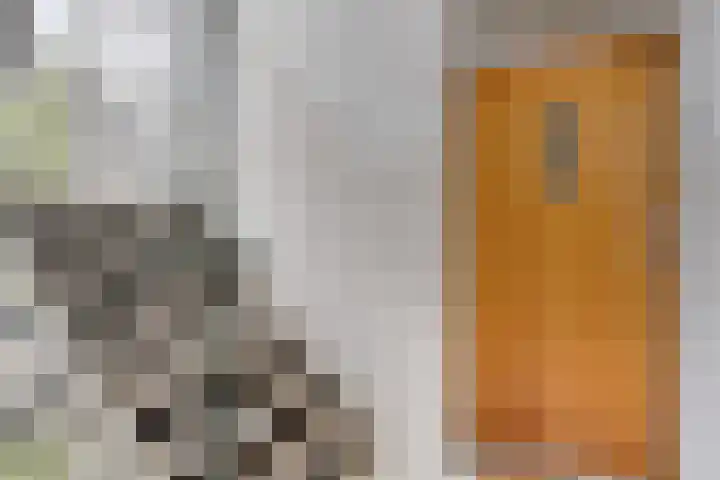 Philip Vingboonsstraat 204 Rotterdam thumbnail 25